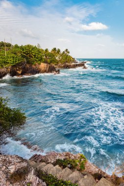 Toco Trinidad ve Tobago Batı Hint Adaları kaba deniz plaj uçurum kenar manzarası