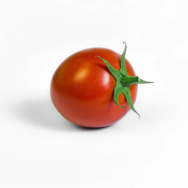 Enkele plum tomaat rijpe witte achtergrond vierkante samenstelling — Stockfoto