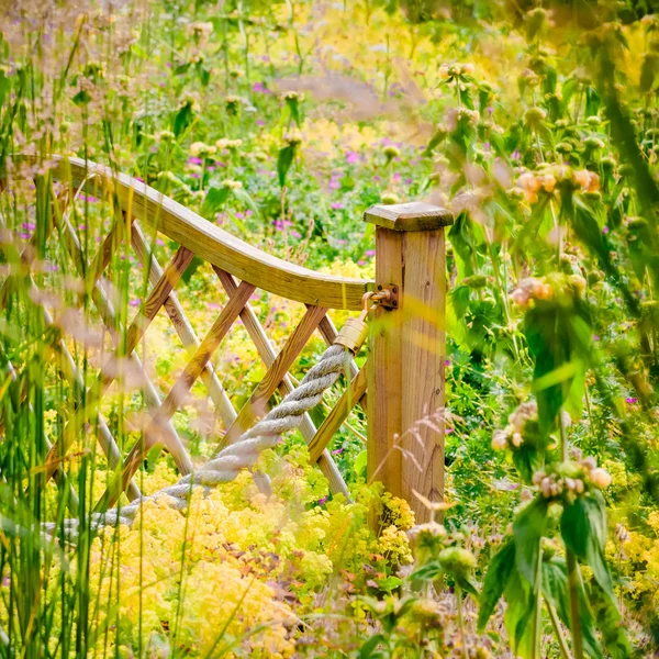 Widlflower Garden Fence Rural Outdoor Countryside Sunny Blooming Colourful Plants — Stock Photo, Image