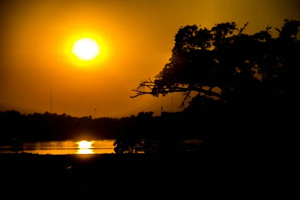 树和夕阳的剪影 — 图库照片