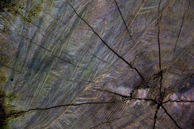 güdük ahşap doku arka plan yıpranmış