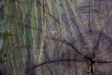 güdük ahşap doku arka plan yıpranmış