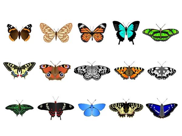 Conjunto vector mariposa — Archivo Imágenes Vectoriales
