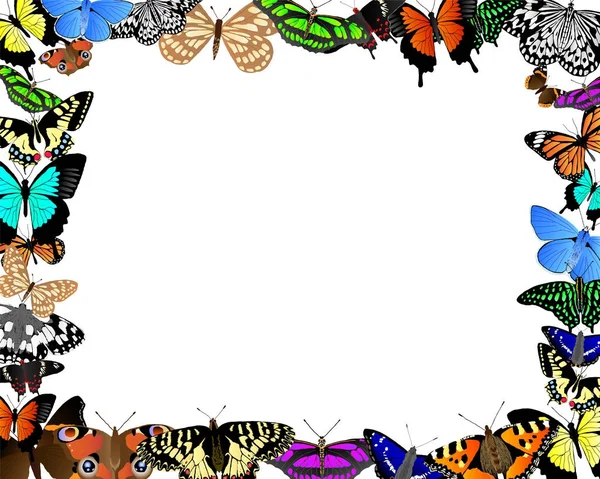Vector fronterizo de mariposa — Archivo Imágenes Vectoriales