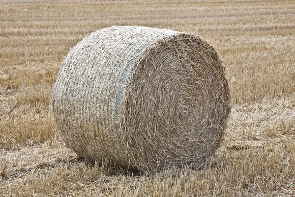 Round Straw Bale — Stock Photo, Image