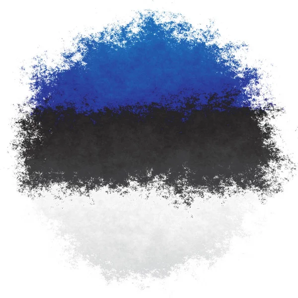 Bandeira nacional de Estonia — Fotografia de Stock