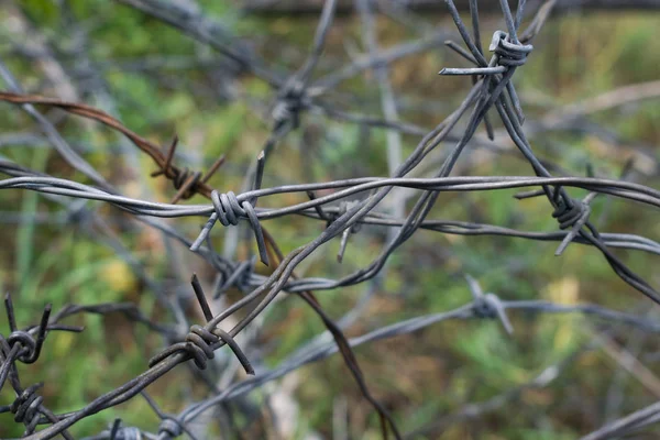 Barb wire background — Stock Photo, Image