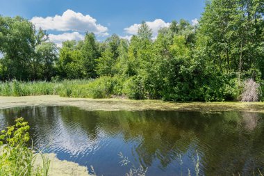 Küçük vadi nehirde