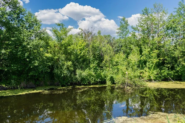 Petite rivière dans le walley — Photo