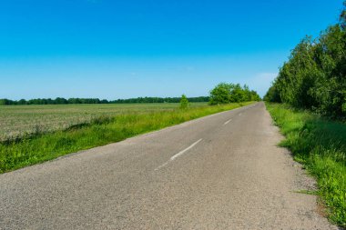 Boş asfalt ülke yolu renkleri ile manzara