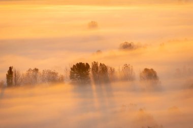 Sonbaharda sabah karada sis var.