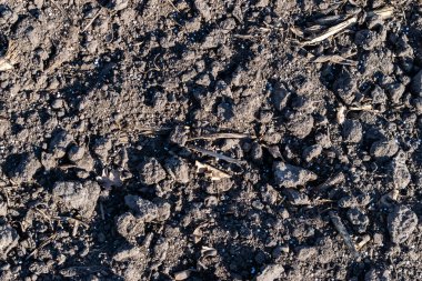 Toprak gübreyle kaplanmış.