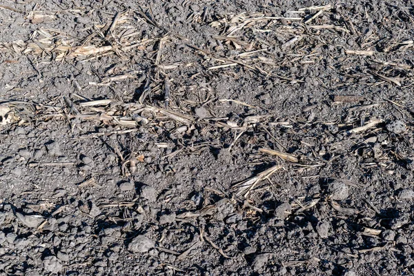 Почва Поле Покрыта Текстурой Минеральных Удобрений — стоковое фото