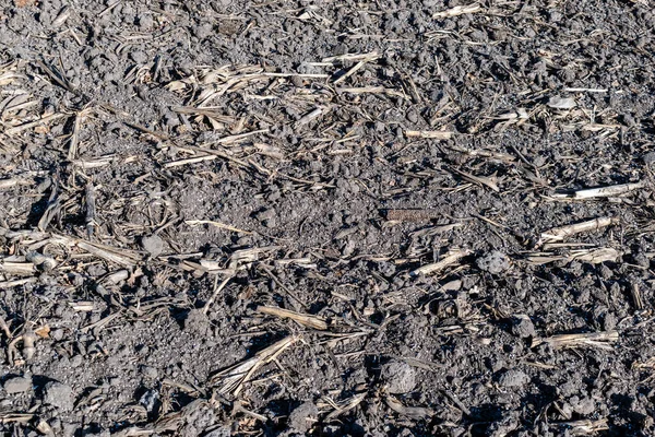 Soil Field Covered Chemical Fertilizer Closeup — Stock Photo, Image