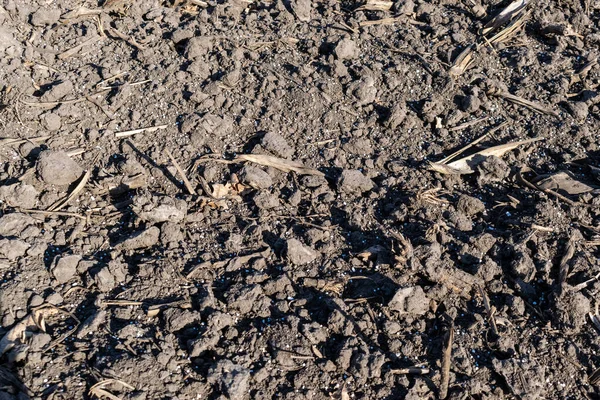 Solo Campo Coberto Com Textura Fertilizante — Fotografia de Stock