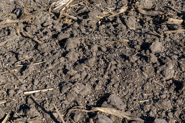 鉱物肥料ペレットが閉じられたフィールド上の土壌 — ストック写真
