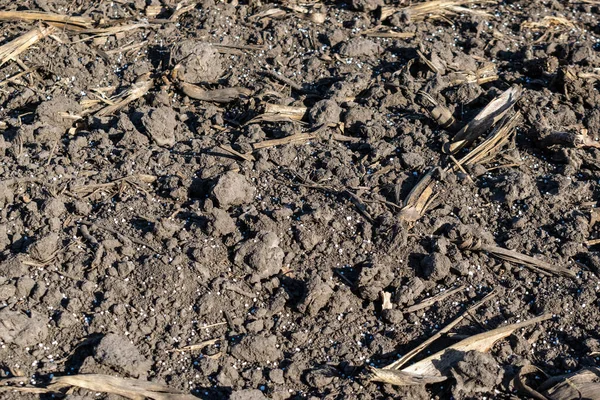 Solo Campo Coberto Com Pelotas Fertilizantes Textura Closeup — Fotografia de Stock