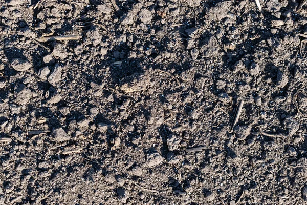 Почва Поле Покрыта Гранулами Химических Удобрений Крупным Планом Текстуры — стоковое фото