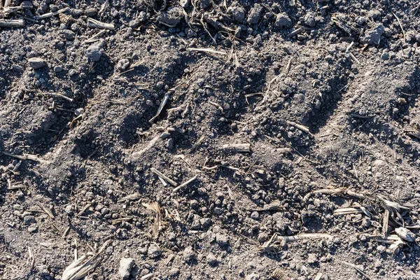 Tractor Tracks Imprints Field Closeup — Stock Photo, Image