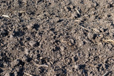 Toprak, maden gübresiyle kapanıyor.