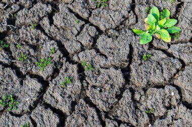 Kuru aşınmış toprak arkaplanı detaylı olarak kapatıldı