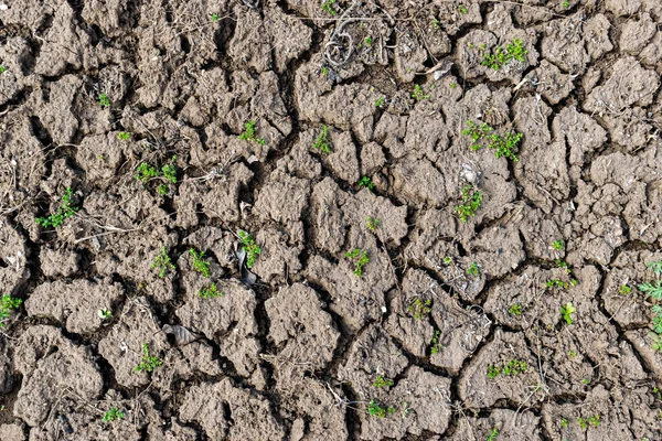 Dry Soil Erosion Background Texture Closeup — Stock Photo, Image