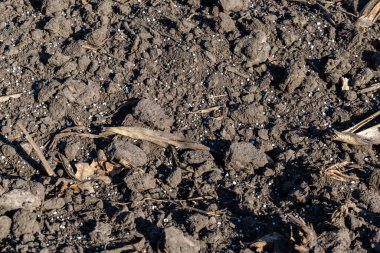 Arazideki toprak gübre ile kaplıdır.