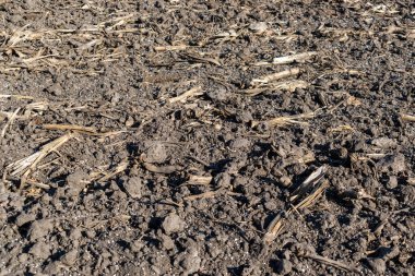 Toprak gübre topaklarıyla kaplıydı.