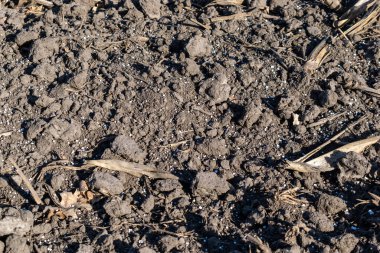 Kimyasal gübre topaklarıyla kaplanmış topraklar.