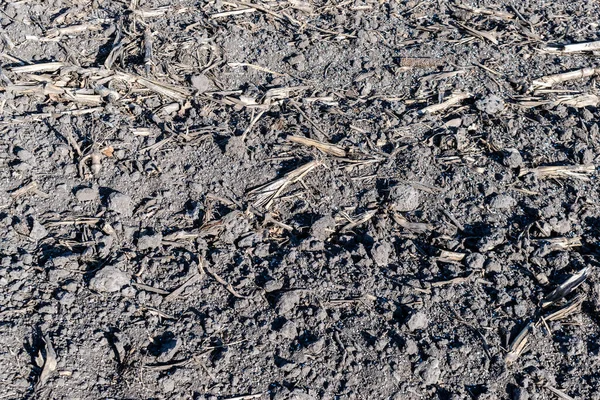 Soil Field Covered Chemical Fertilizer — Stock Photo, Image