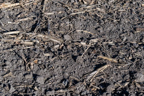 ミネラル肥料で覆われたフィールド上の土壌の閉鎖テクスチャ — ストック写真