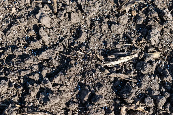 Έδαφος Στο Χωράφι Καλυμμένο Χημικά Λιπάσματα Closeup Υφή — Φωτογραφία Αρχείου
