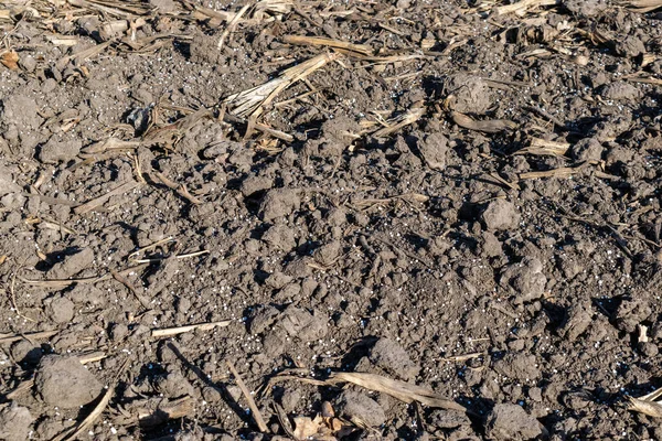 ミネラル肥料ペレットの質感で覆われたフィールド上の土壌 — ストック写真