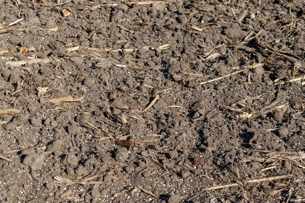 化学肥料で覆われた畑 — ストック写真