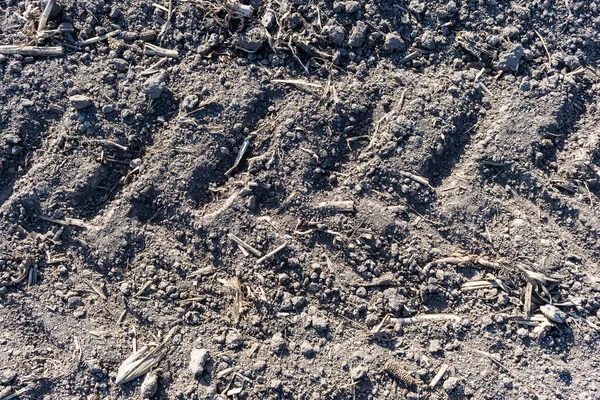 Tractor Tracks Imprints Field Closeup — Stock Photo, Image