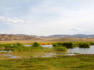 Kuğular üzerinde bir dağ gölü