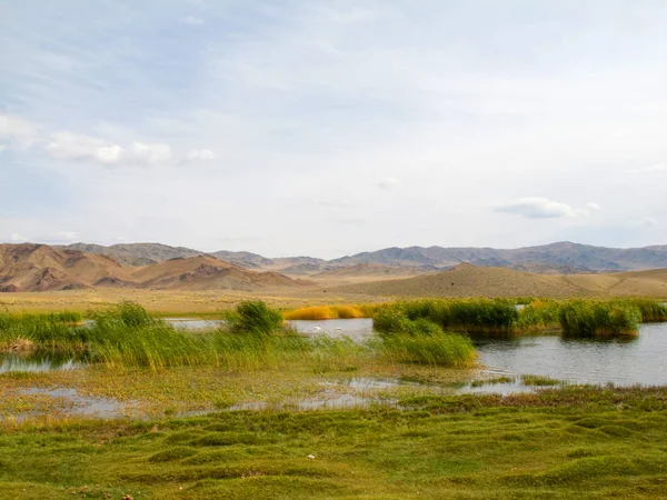 Kuğular üzerinde bir dağ gölü