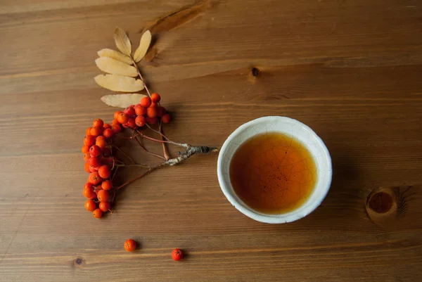 Осінній чай з червоною ягодою — стокове фото