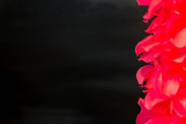 Dikey kırmızı süslemeli siyah arka plan