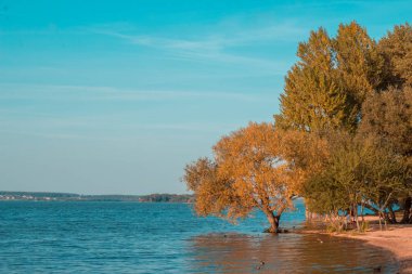 sonbahar manzara. Mavi gökyüzü ile bir göl kıyısında, sonbahar ağaçlar