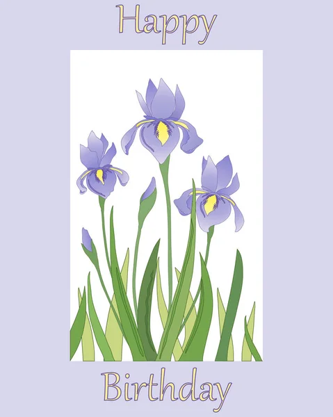 Iris design, a fehér és lila — Stock Vector