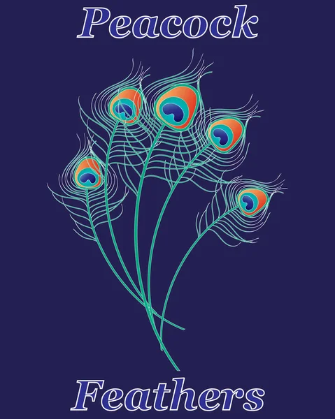 Exotic feathers on blue — Stock Vector