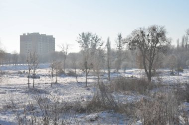 Beskidy Dağları 'ndaki dağ oteli. Blatnia, Beskid Slaski, Polonya