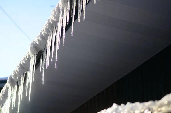 Icicles Which Hanging Roof — Stock Photo, Image