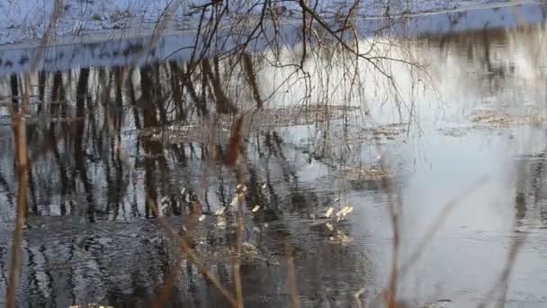 -ヒマラヤ山脈、ネパールの氷河の氷の川。雲と霧の中で 2 つの岩が多い斜面を下って来る白い雪山氷河の美しい風景です。山氷河を背景. — ストック動画