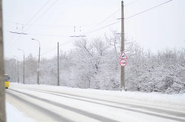 Kış Sezonu Asfalt Yol — Stok fotoğraf