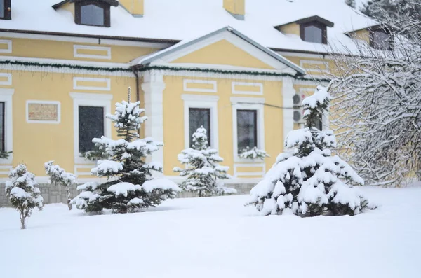 Kleines Rotes Ferienhaus Winter Schnee Und Eiskulisse Smaland — Stockfoto