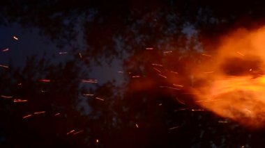Sparks çatlaklar ızgara ateş çukuru içinde ateş. Büyük ateş yanan kül yükselişi gece gökyüzünde. Yaz geceleri, doğa varlığı. Gıda porn ve şık arka plan.