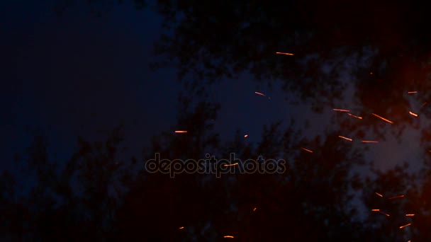 Étincelles fissures de feu dans le foyer du gril. Des cendres brûlantes surgissent d'un grand feu dans le ciel nocturne. Soirées d'été, présence nature. Nourriture porno, et fond élégant . — Video