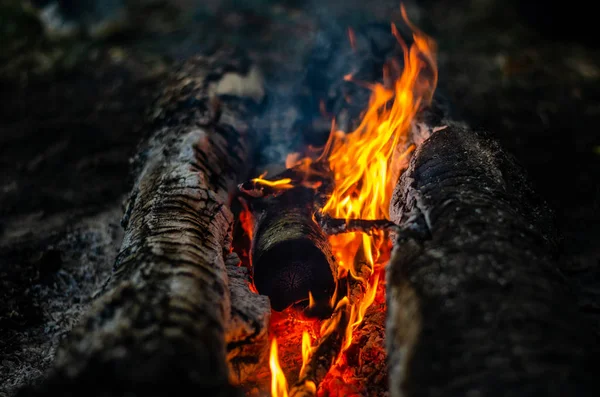 Closeup View Bonfire Flames Coals — Stock Photo, Image